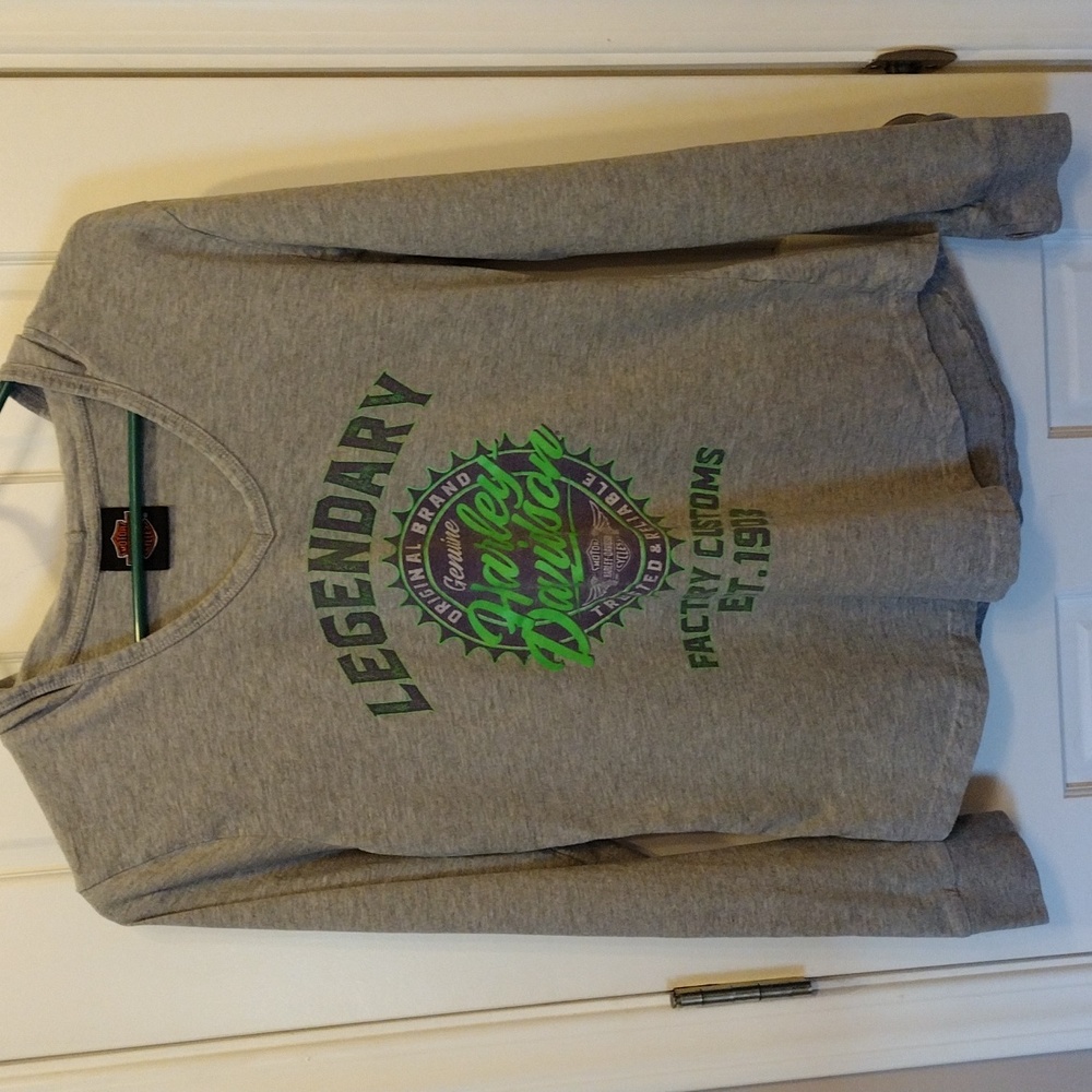 Harley Davidson hooded T shirt.